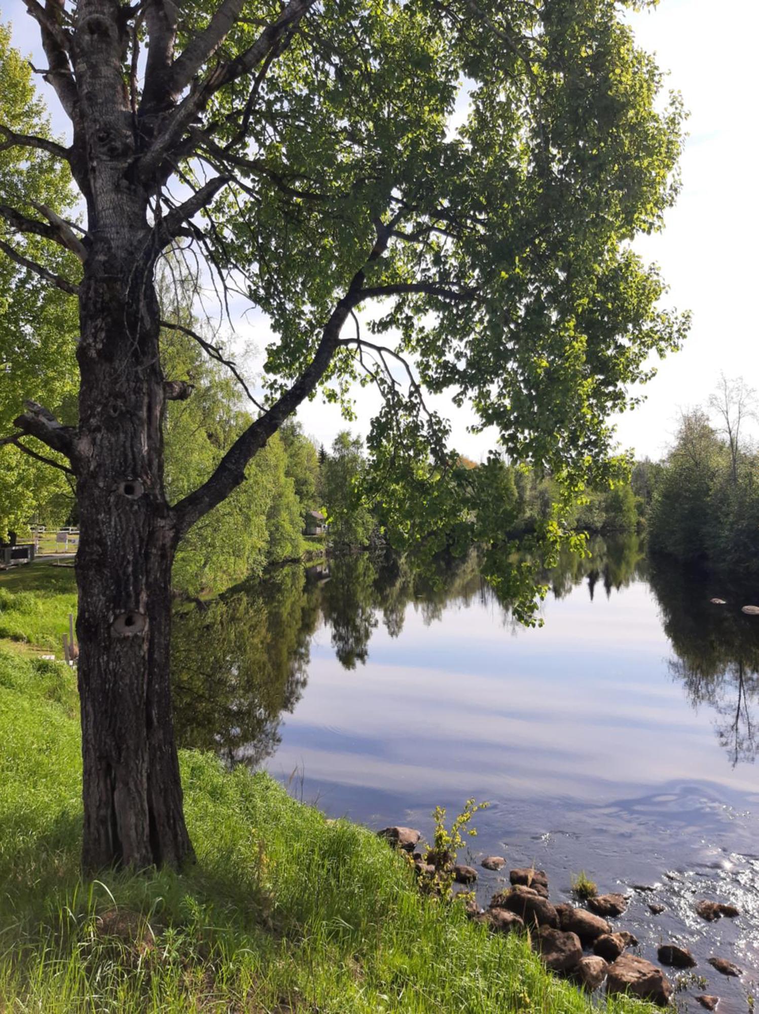 Huhtaniemen Moekkikylae Hotel Veteli Bagian luar foto